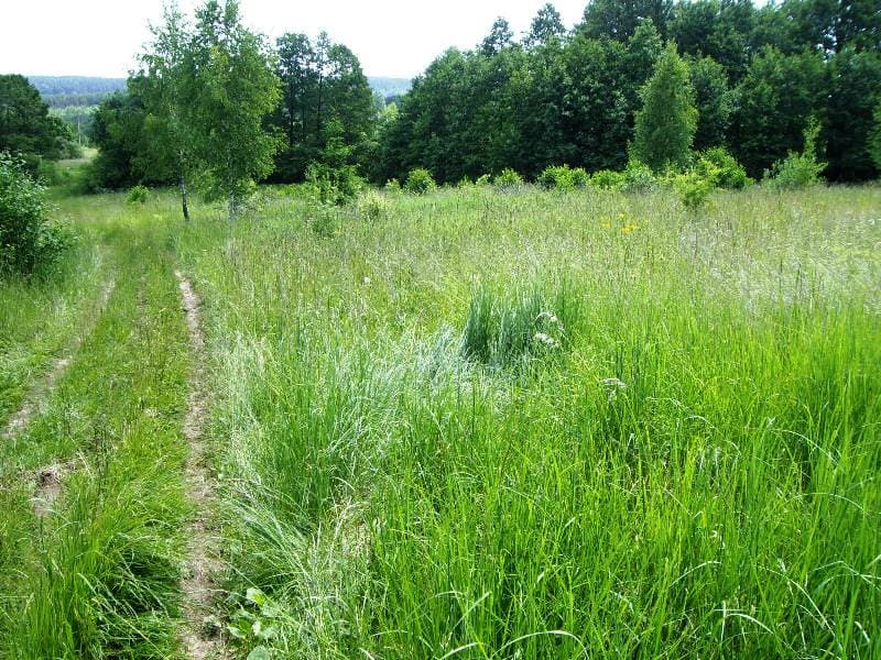 1,14 ha žemės sklypas Žaunieriškių k., Alytaus raj., Pardavimui. Nuotrauka nr. 3