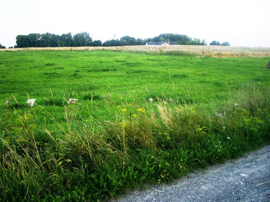 4 namų valdos žemės sklypai Butkūnų k., Alytaus raj., Pardavimui. Nuotrauka nr. 3