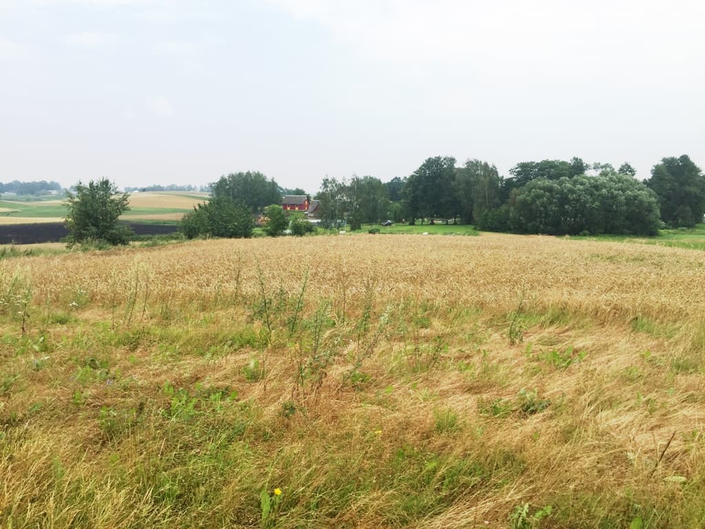 0,51 ha žemės sklypas Likiškių k., Alytaus raj., Pardavimui. Nuotrauka nr. 3