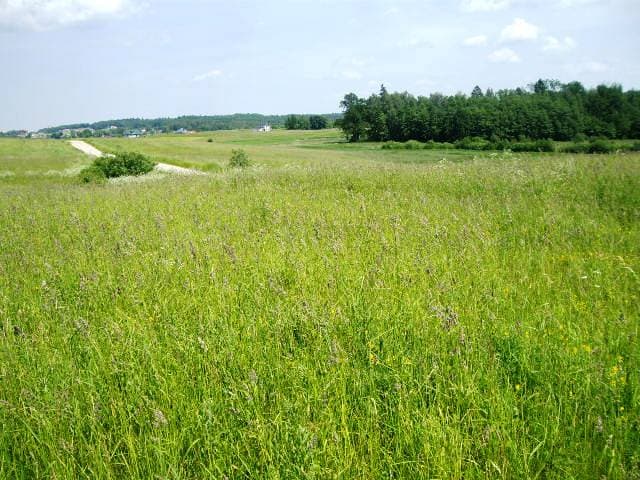 0,47 ha žemės sklypas Jurgiškių k., Alytaus raj., Pardavimui. Nuotrauka nr. 3