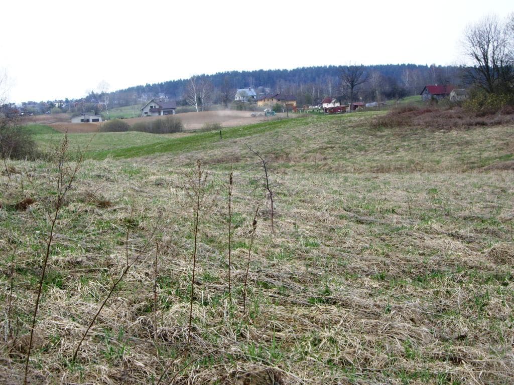 19 a. žemės sklypas Kaniūkų k., Alytaus raj., Pardavimui. Nuotrauka nr. 4