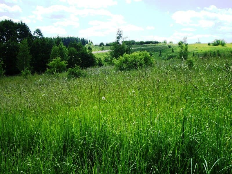 1,14 ha žemės sklypas Žaunieriškių k., Alytaus raj., Pardavimui. Nuotrauka nr. 4