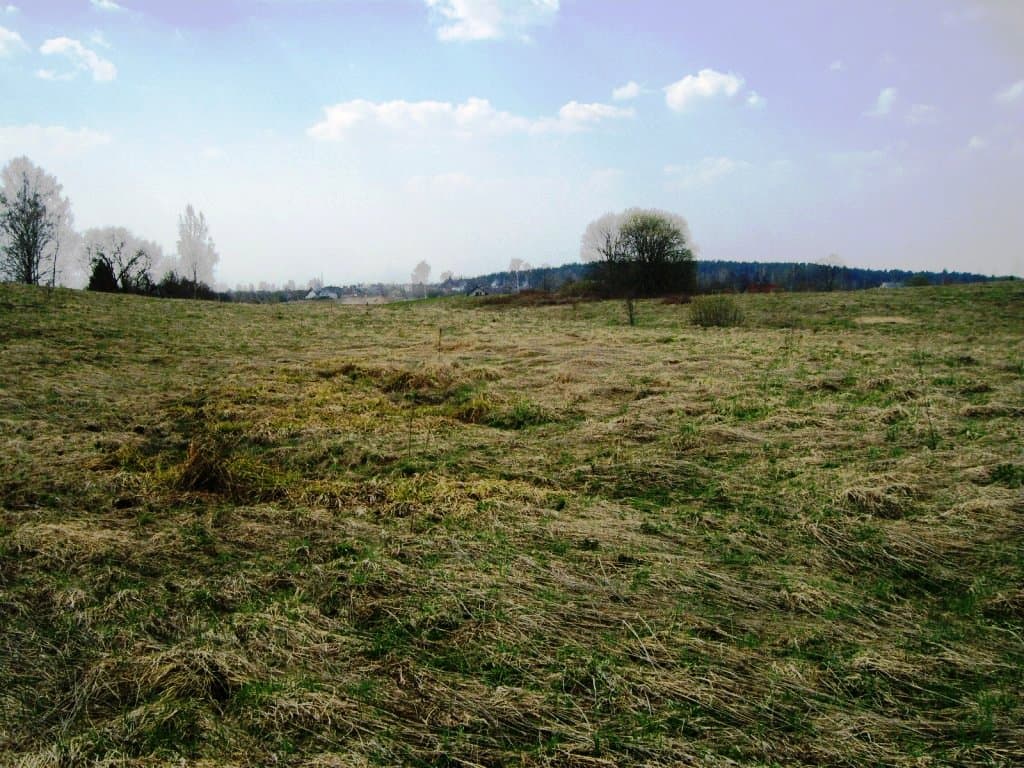 19 a. žemės sklypas Kaniūkų k., Alytaus raj., Pardavimui. Nuotrauka nr. 5