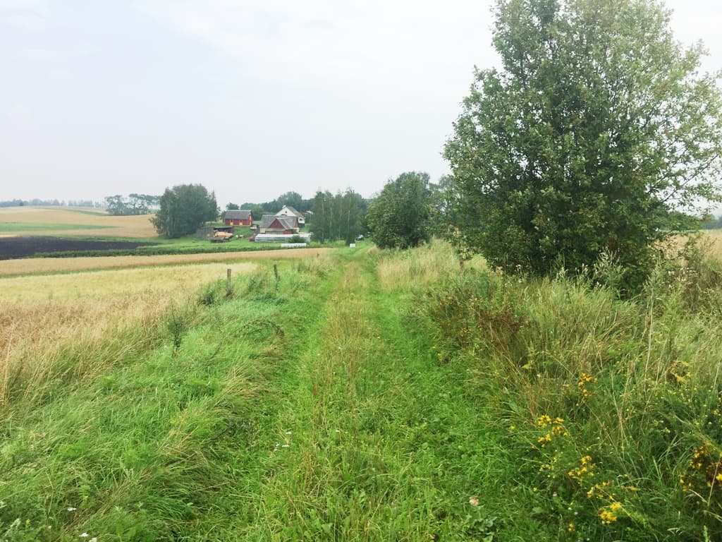 0,51 ha žemės sklypas Likiškių k., Alytaus raj., Pardavimui. Nuotrauka nr. 4
