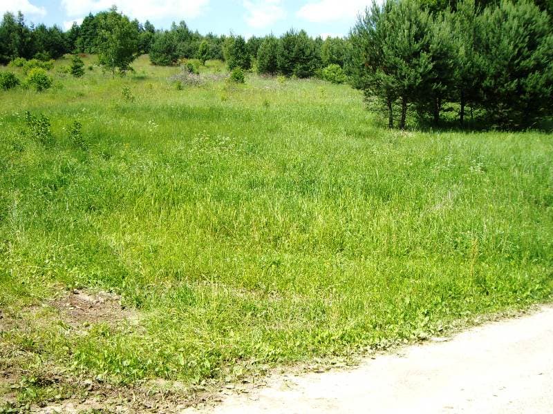 1,14 ha žemės sklypas Žaunieriškių k., Alytaus raj., Pardavimui. Nuotrauka nr. 1