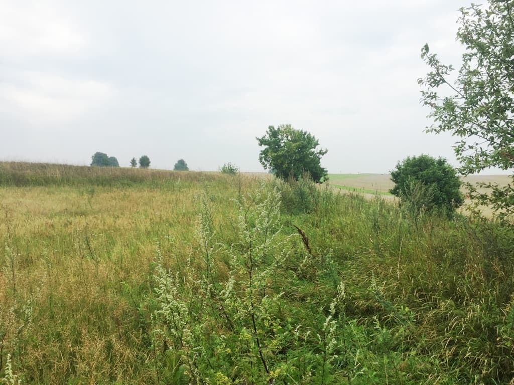 0,51 ha žemės sklypas Likiškių k., Alytaus raj., Pardavimui. Nuotrauka nr. 1