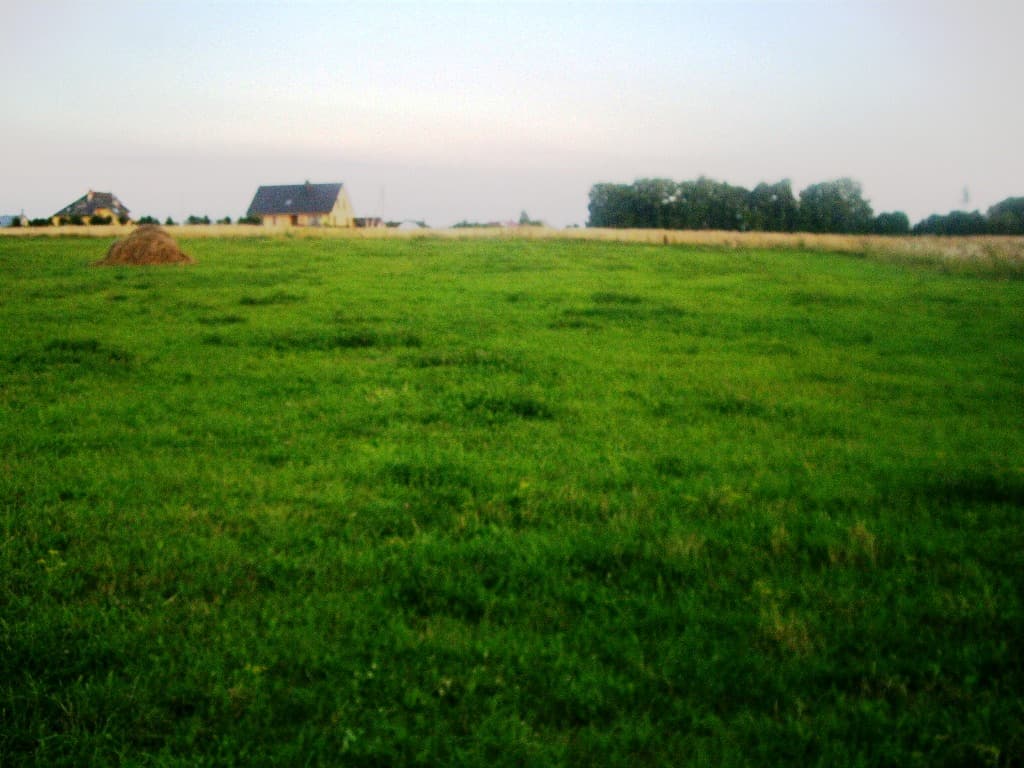 4 namų valdos žemės sklypai Butkūnų k., Alytaus raj., Pardavimui. Nuotrauka nr. 1