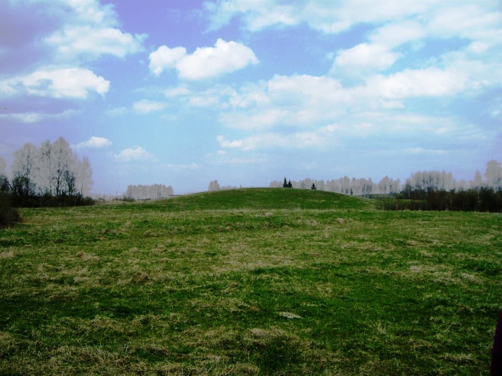 19 a. žemės sklypas Kaniūkų k., Alytaus raj., Pardavimui. Nuotrauka nr. 1