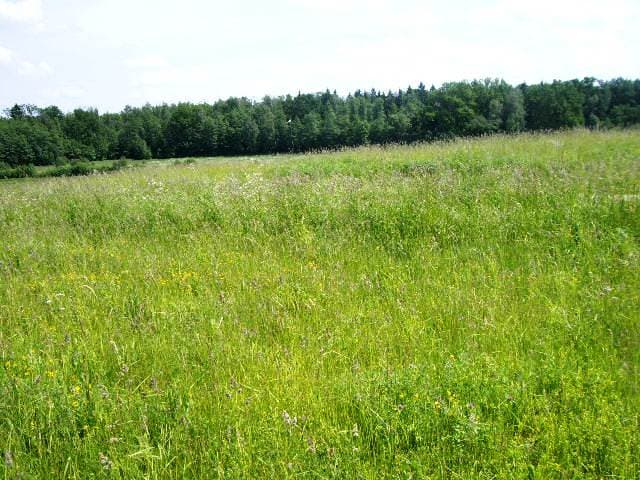 0,47 ha žemės sklypas Jurgiškių k., Alytaus raj., Pardavimui. Nuotrauka nr. 2