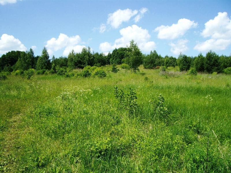 1,14 ha žemės sklypas Žaunieriškių k., Alytaus raj., Pardavimui. Nuotrauka nr. 2