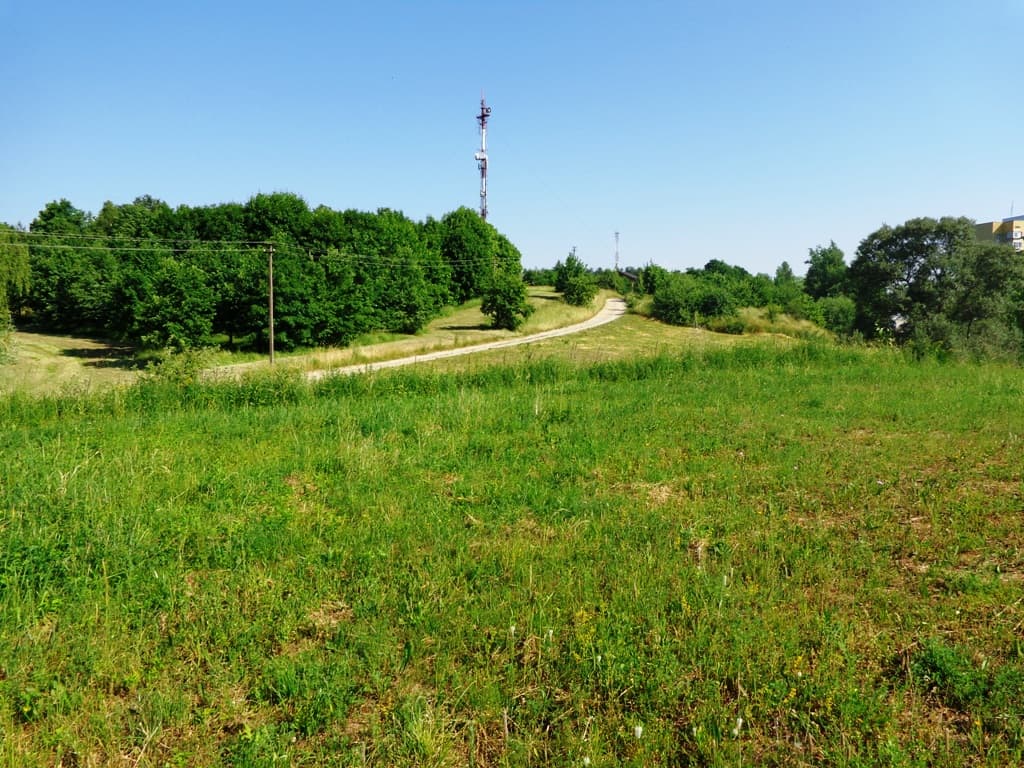 Sklypas daugiabučių statybai Alytuje, Statybininkų g., Pardavimui. Nuotrauka nr. 6