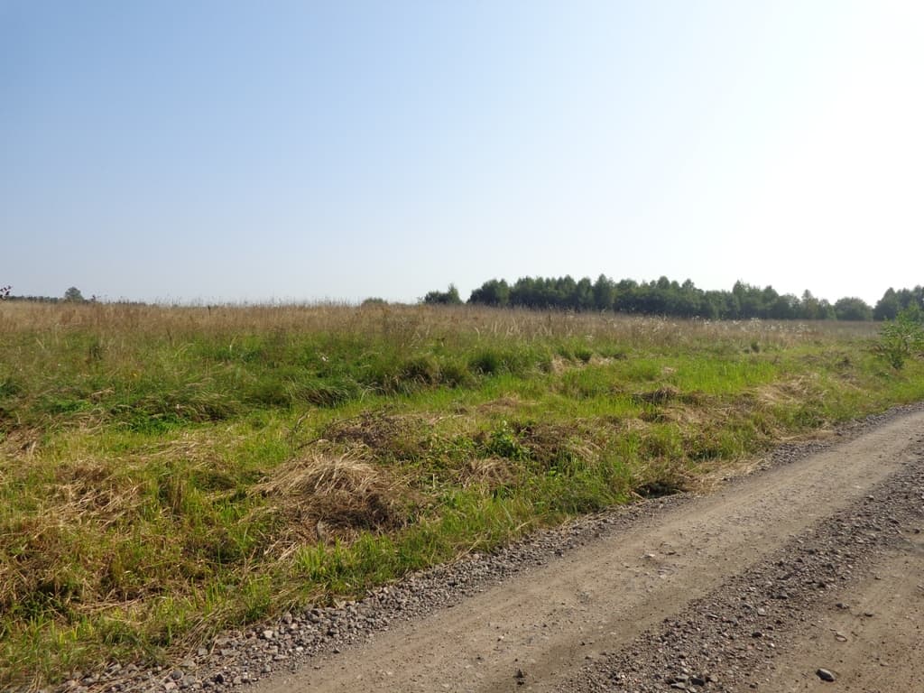 Sklypas Alytaus raj. Alytaus k., Alytupio g., Pardavimui. Nuotrauka nr. 7