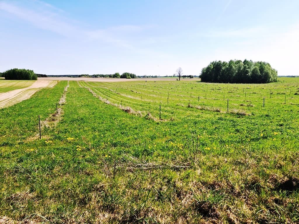 Sklypas Sarapiniškių k. Varėnos raj., Pardavimui